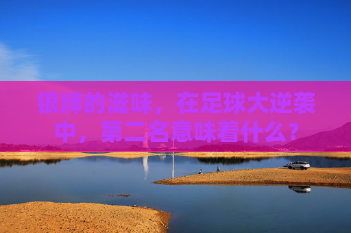 银牌的滋味，在足球大逆袭中，第二名意味着什么？