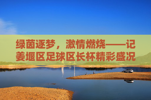 绿茵逐梦，激情燃烧——记姜堰区足球区长杯精彩盛况