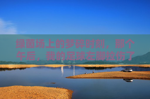 绿茵场上的梦碎时刻,那个午后,我的足球左脚拉伤了
