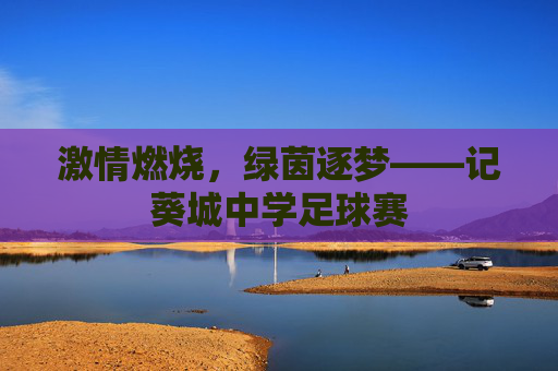 激情燃烧,绿茵逐梦——记葵城中学足球赛