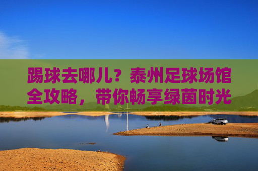 踢球去哪儿?泰州足球场馆全攻略,带你畅享绿茵时光