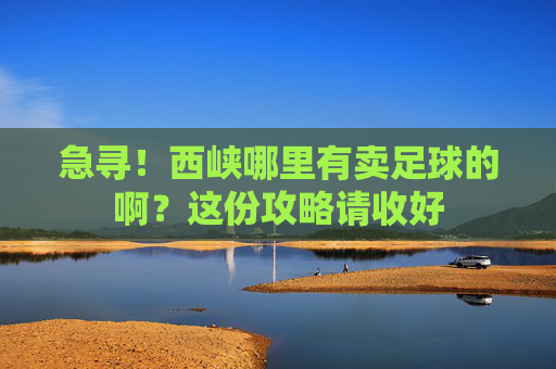 急寻!西峡哪里有卖足球的啊?这份攻略请收好