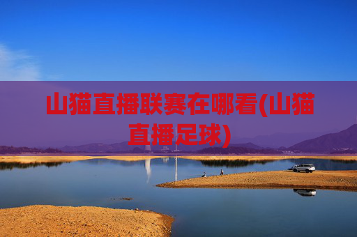 山猫直播联赛在哪看(山猫直播足球)