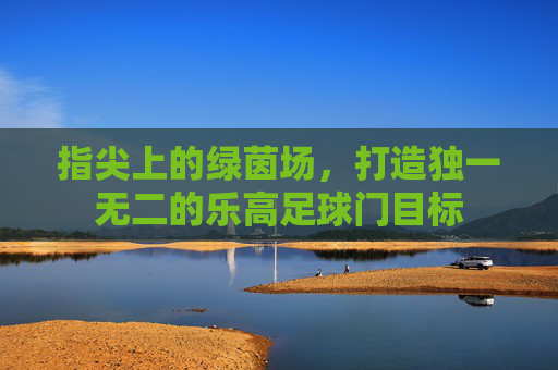 指尖上的绿茵场,打造独一无二的乐高足球门目标