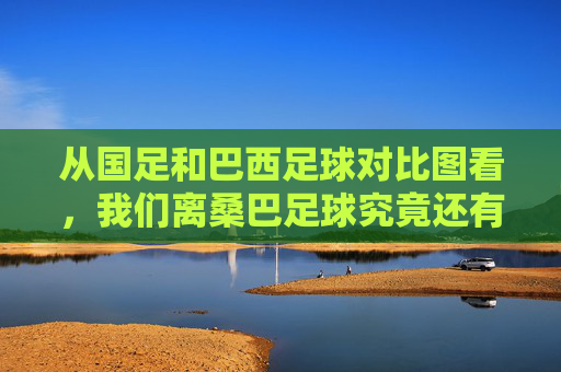 从国足和巴西足球对比图看,我们离桑巴足球究竟还有多远?