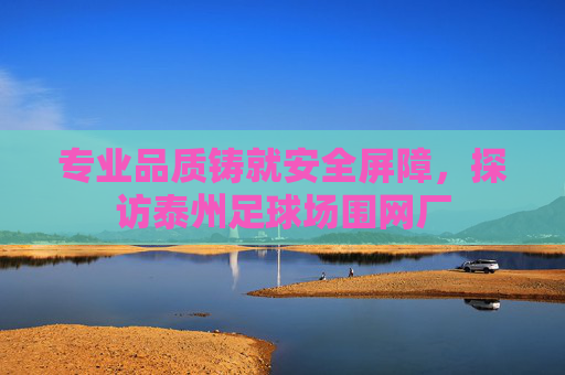 专业品质铸就安全屏障,探访泰州足球场围网厂