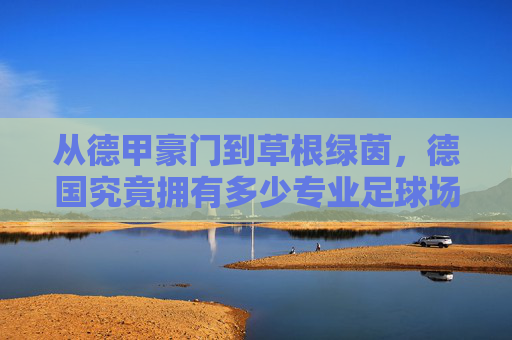 从德甲豪门到草根绿茵,德国究竟拥有多少专业足球场地?