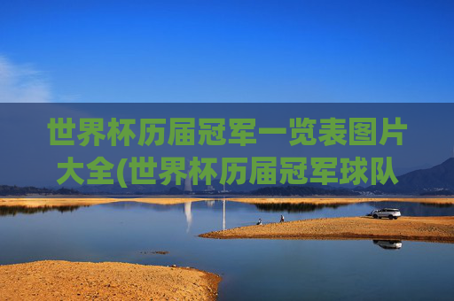 世界杯历届冠军一览表图片大全(世界杯历届冠军球队)