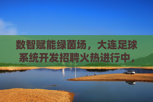 数智赋能绿茵场,大连足球系统开发招聘火热进行中,诚邀精英共创数字足球新纪元