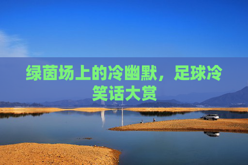 绿茵场上的冷幽默,足球冷笑话大赏