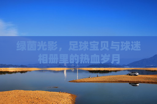 绿茵光影,足球宝贝与球迷相册里的热血岁月