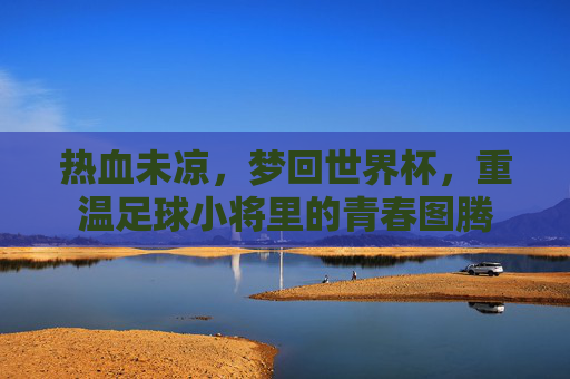 热血未凉,梦回世界杯,重温足球小将里的青春图腾