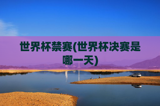 世界杯禁赛(世界杯决赛是哪一天)