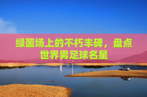 绿茵场上的不朽丰碑,盘点世界男足球名星