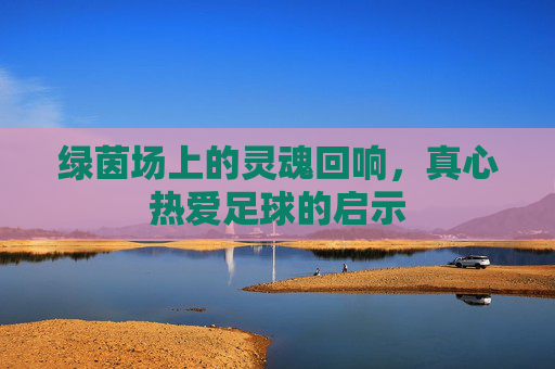 绿茵场上的灵魂回响,真心热爱足球的启示