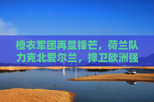 橙衣军团再显锋芒,荷兰队力克北爱尔兰,捍卫欧洲强队尊严