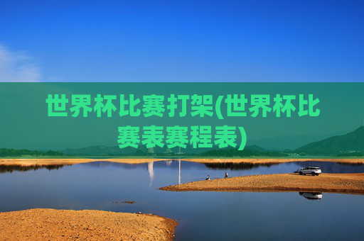 世界杯比赛打架(世界杯比赛表赛程表)