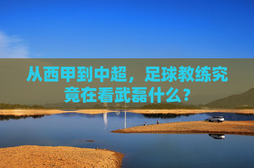 从西甲到中超,足球教练究竟在看武磊什么?