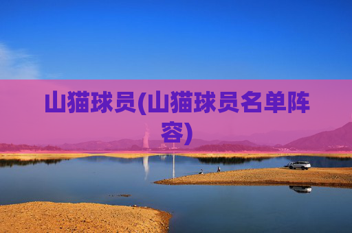 山猫球员(山猫球员名单阵容)