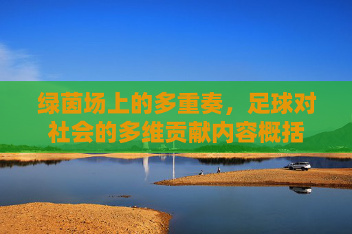 绿茵场上的多重奏,足球对社会的多维贡献内容概括