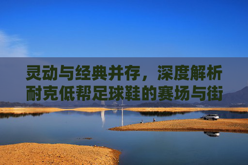 灵动与经典并存,深度解析耐克低帮足球鞋的赛场与街头魅力