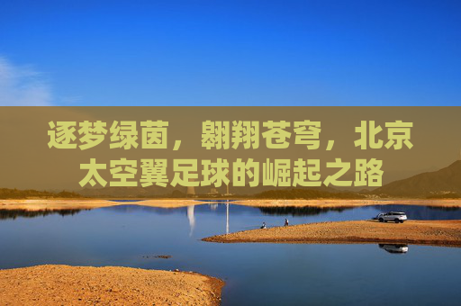 逐梦绿茵,翱翔苍穹,北京太空翼足球的崛起之路