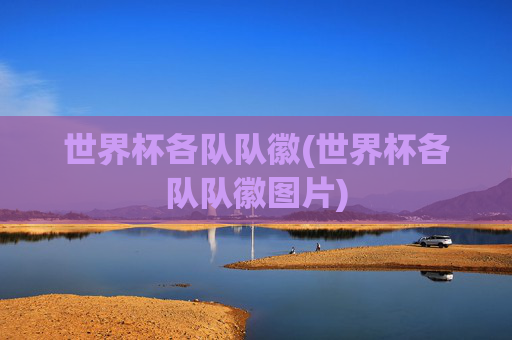 世界杯各队队徽(世界杯各队队徽图片)
