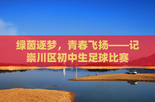 绿茵逐梦,青春飞扬——记崇川区初中生足球比赛