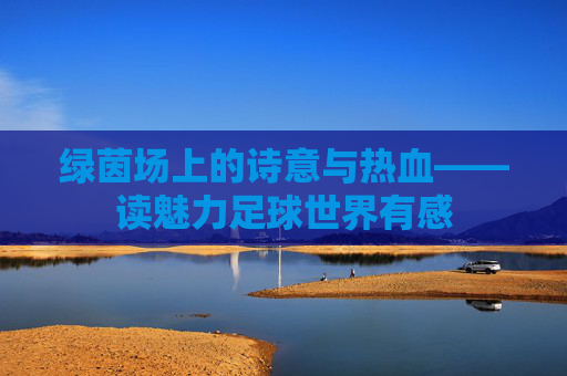 绿茵场上的诗意与热血——读魅力足球世界有感