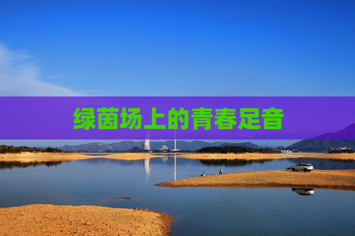 绿茵场上的青春足音