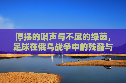 停摆的哨声与不屈的绿茵,足球在俄乌战争中的残酷与救赎