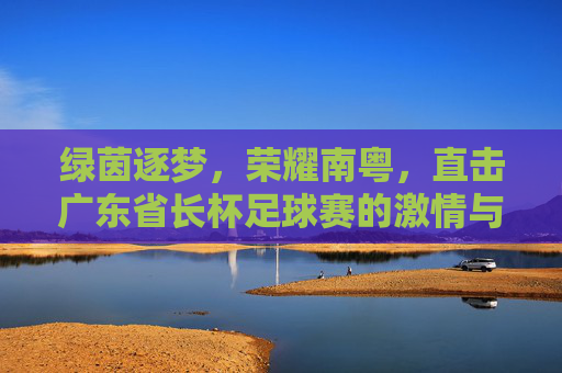 绿茵逐梦,荣耀南粤,直击广东省长杯足球赛的激情与荣光