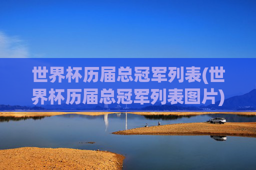 世界杯历届总冠军列表(世界杯历届总冠军列表图片)