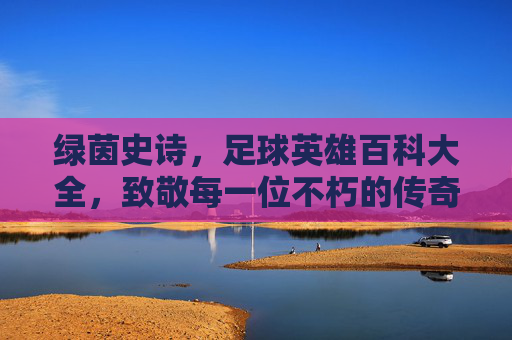 绿茵史诗,足球英雄百科大全,致敬每一位不朽的传奇