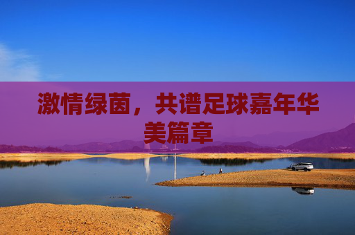 激情绿茵,共谱足球嘉年华美篇章