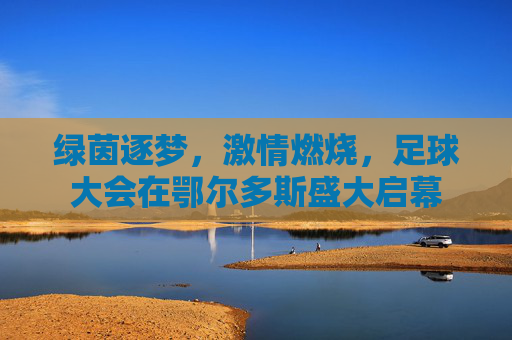 绿茵逐梦,激情燃烧,足球大会在鄂尔多斯盛大启幕