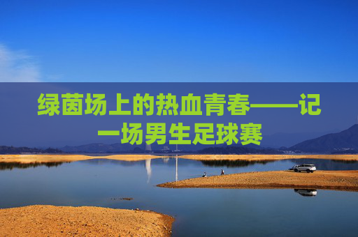 绿茵场上的热血青春——记一场男生足球赛
