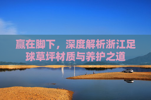 赢在脚下,深度解析浙江足球草坪材质与养护之道