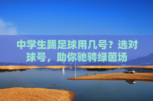 中学生踢足球用几号?选对球号,助你驰骋绿茵场