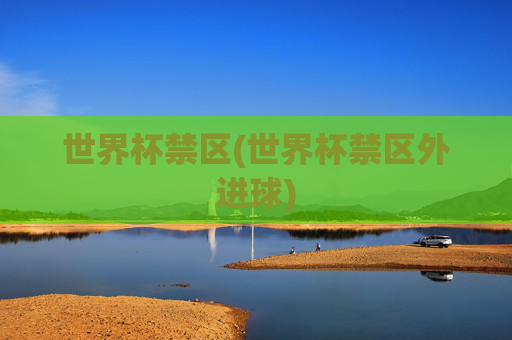 世界杯禁区(世界杯禁区外进球)
