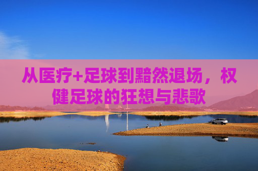 从医疗+足球到黯然退场，权健足球的狂想与悲歌