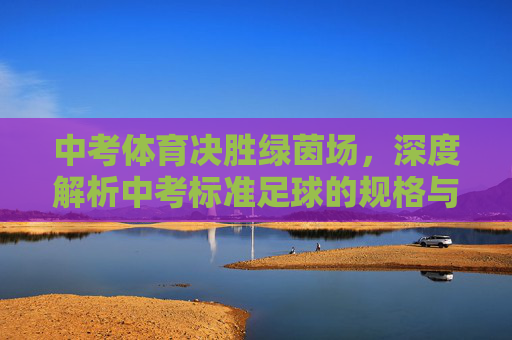 中考体育决胜绿茵场，深度解析中考标准足球的规格与实战意义