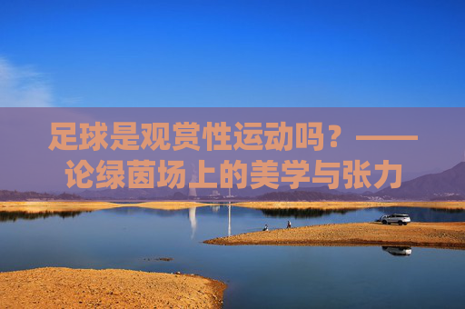 足球是观赏性运动吗？——论绿茵场上的美学与张力