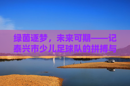 绿茵逐梦，未来可期——记泰兴市少儿足球队的拼搏与成长