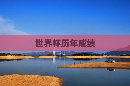 世界杯历年成绩