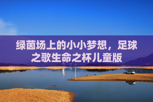 绿茵场上的小小梦想，足球之歌生命之杯儿童版
