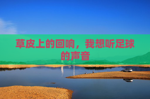 草皮上的回响，我想听足球的声音