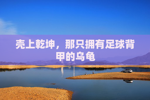 壳上乾坤，那只拥有足球背甲的乌龟
