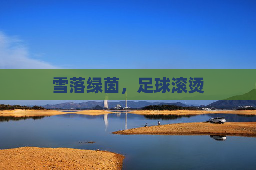 雪落绿茵，足球滚烫
