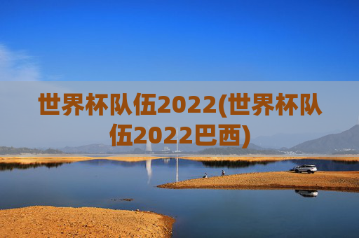 世界杯队伍2022(世界杯队伍2022巴西)